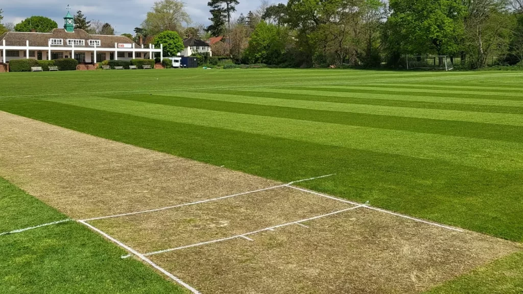 Oberon Cricket Field