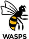 Wasps_RFC_logo_2021_80x80