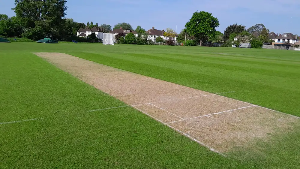 Old Wimbledonians Cricket Pitch