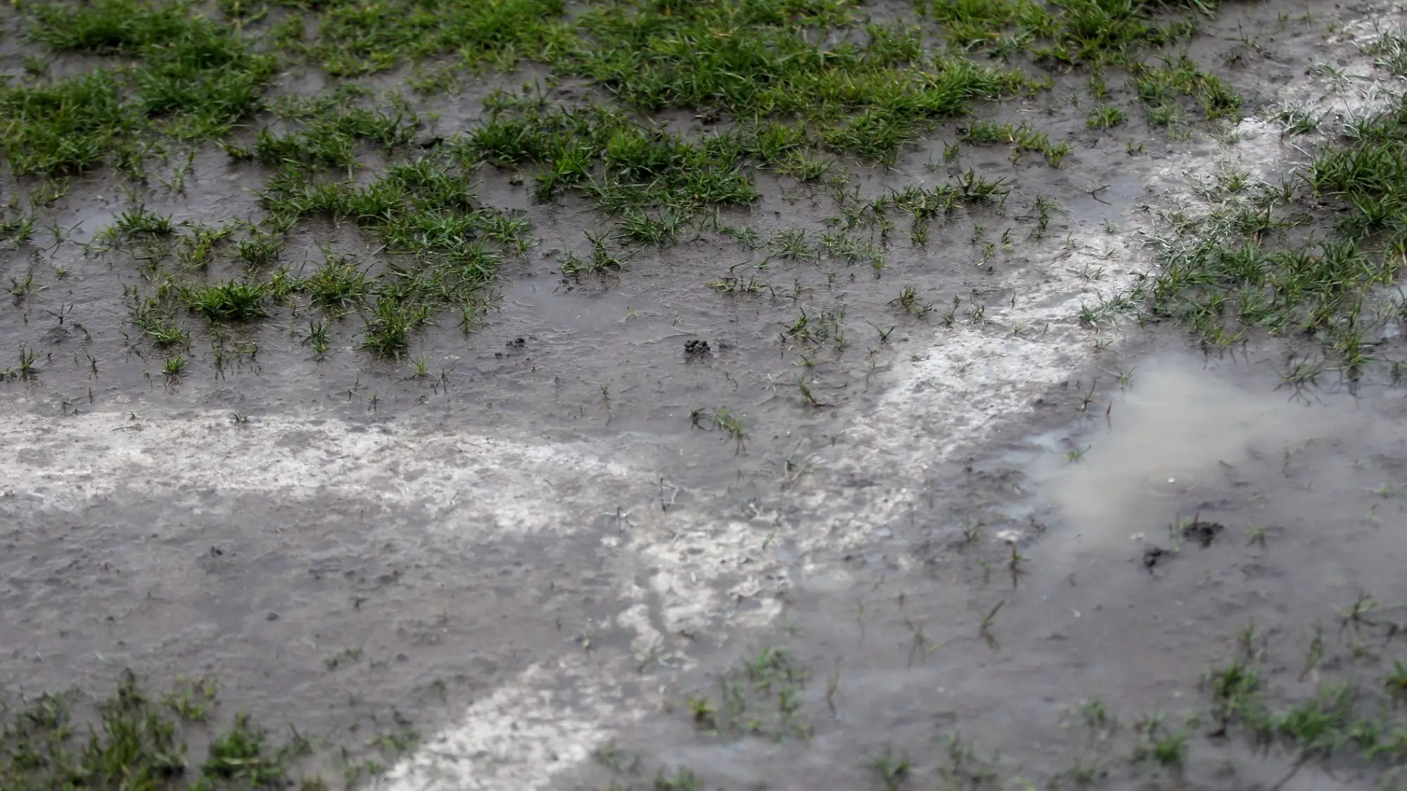 Waterlogged Pitch